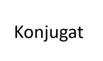 Text-Konjugat