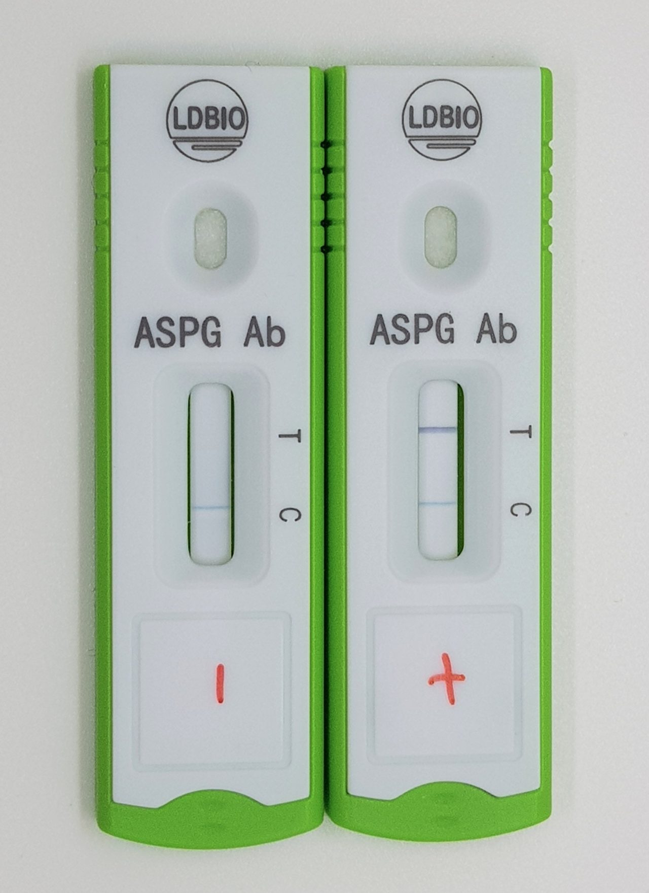 Aspergillus ICT Kassettentest - negativ - positiv Test - LDBIO