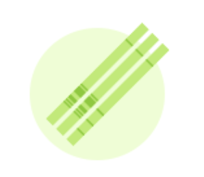 Bild generic Westernblot