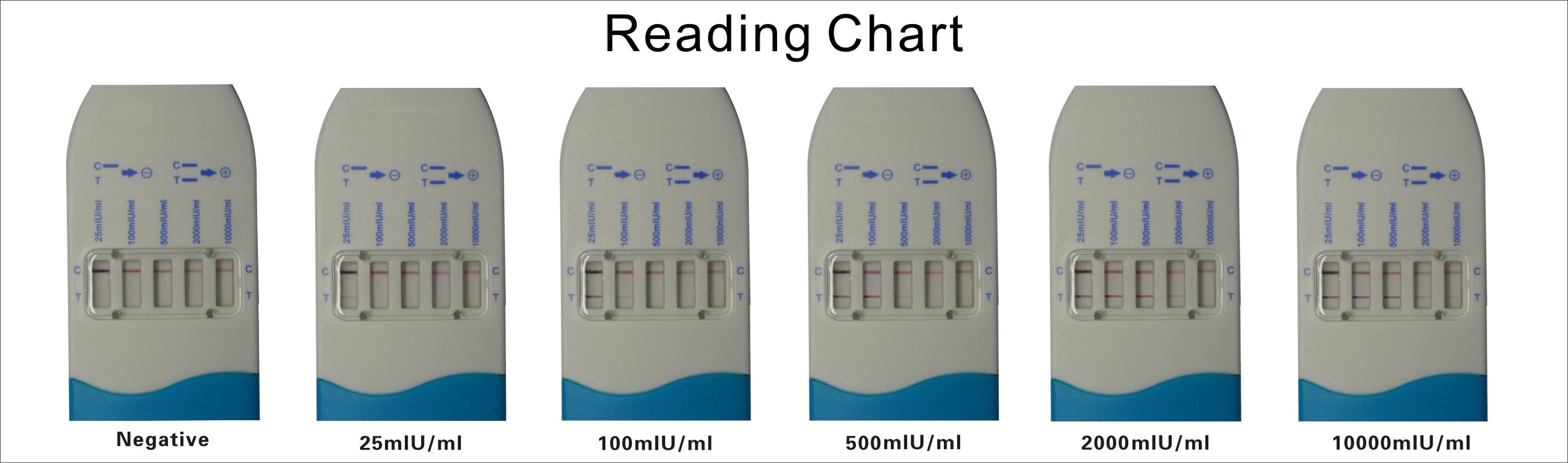 quantitativer hCG Kassettenschnelltest - Auswertung und Anstieg des hCGs 
