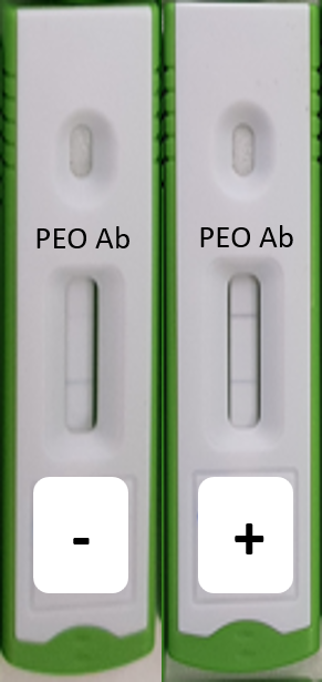 PEO ICT Kassettentest - negativ - positiv Test - LDBIO
