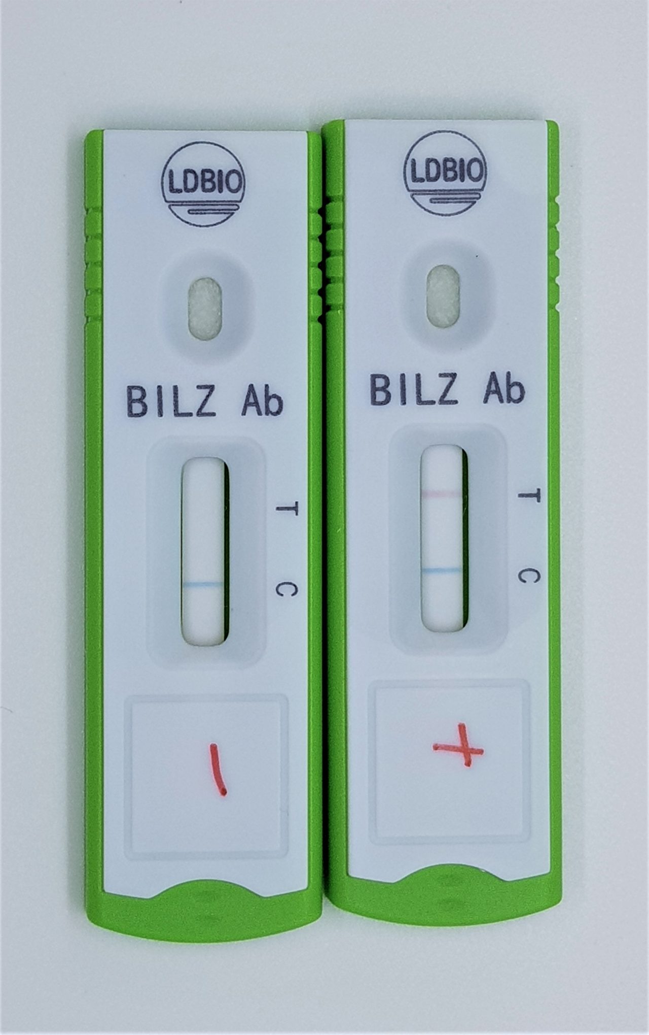 Schistosoma ICT Kassettentest - negativ - positiv Test - LDBIO